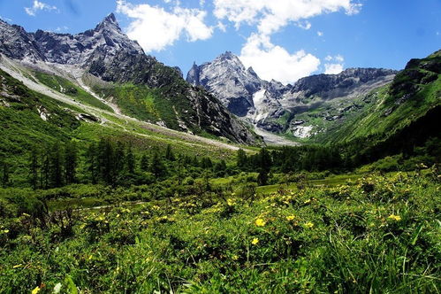 省钱秘籍：从平台到时间，教你如何不被坑