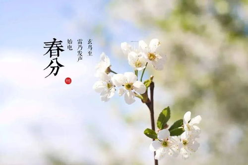 春分时节，万物苏醒，老祖宗的智慧告诉你怎么选个好日子