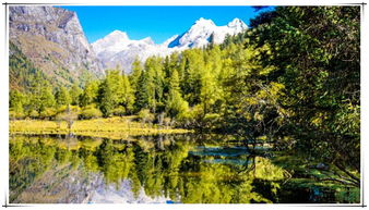 站在成都街头，我的选择困境：峨眉山还是四姑娘山？