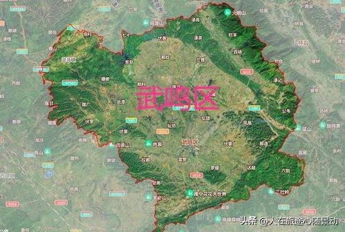 路线规划的小心机