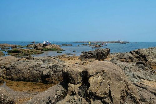深圳， 那个被称为“鼓浪屿”的地方