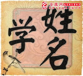 风水与姓名：相辅相成之道