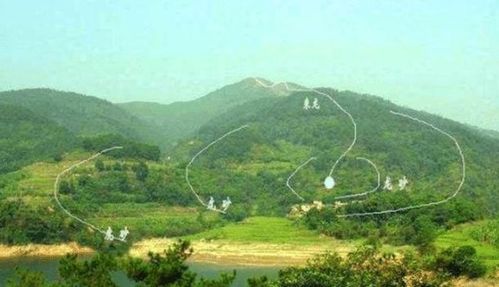 天啊！2026年白虎穿堂大凶！你家要倒大霉了！
