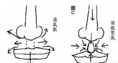 人中：生命的印记