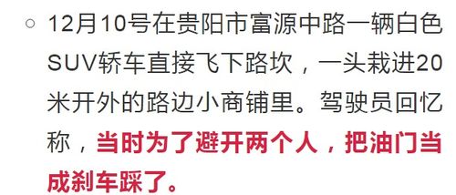 二十条错误之二：座椅后有带刺植物（仙人掌）