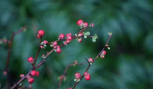 癸水遇上暴躁寅月：2026年开春玄学大乱炖