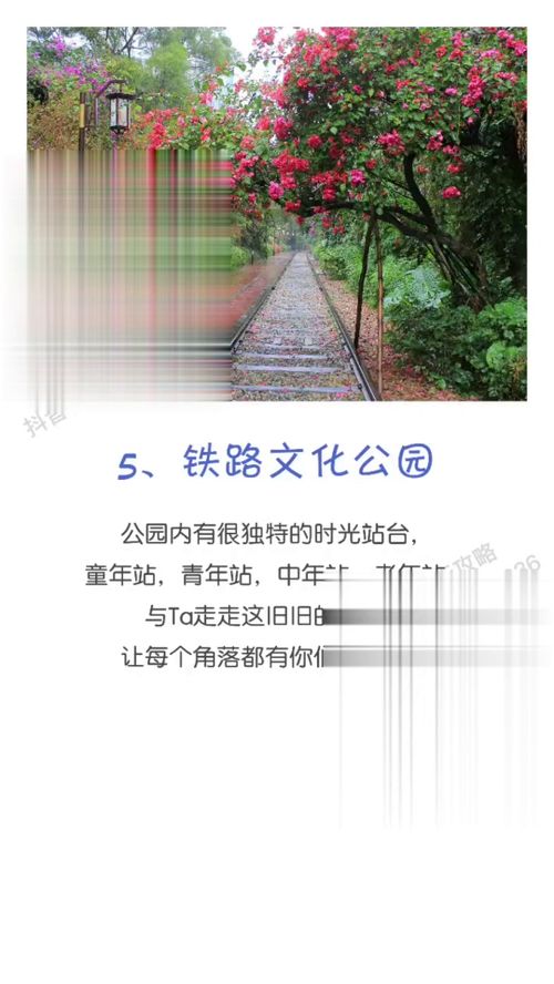 第四章：预算管理与消费指南