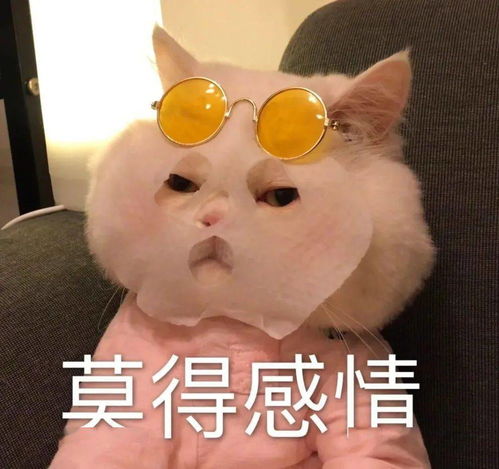 2. 谐音？别傻了！