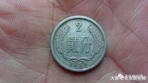 【手残教程】这样扔硬币才能暴富！