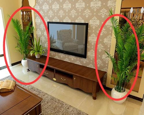 家中不宜摆放什么风水,家中不Neng放什么