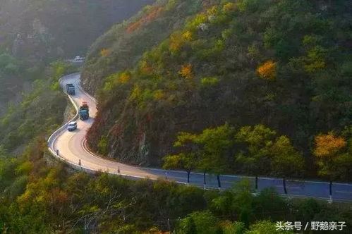 一、凉风沟，一场与自然的邂逅（真的吗？）