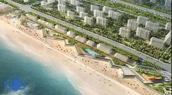 东疆公园：城中海岸线上的挖蟹乐园