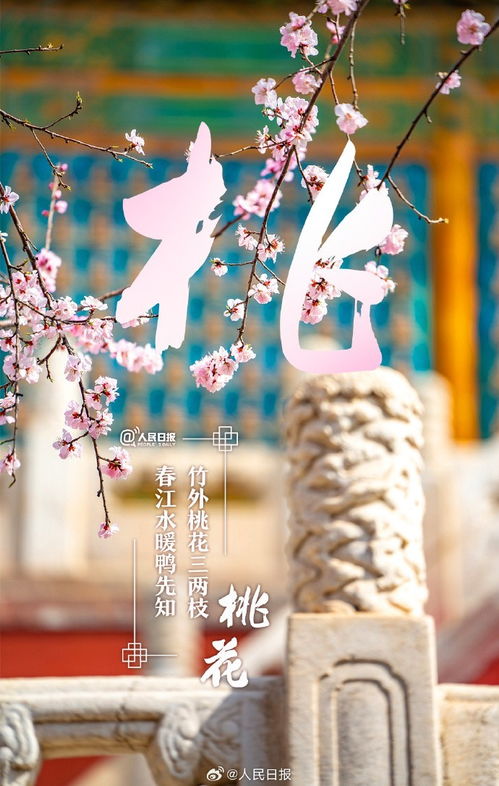 春俗盛宴，春意盎然习俗秀