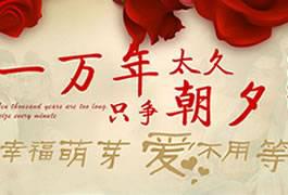 只争朝夕打一生肖指的是什么生肖？