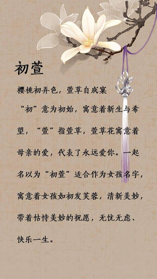 二、姓氏岱齐特的文化内涵
