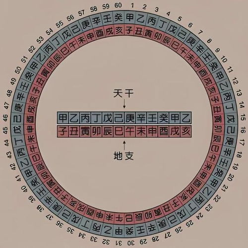如何自学四柱八字，改写为人生预测工具？