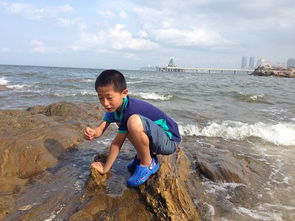 第四站：威海周边一日游 – 海洋探险之旅