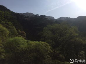 蜿蜒的山路：十八弯的考验