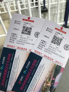 柏林爱乐：不仅仅是音乐