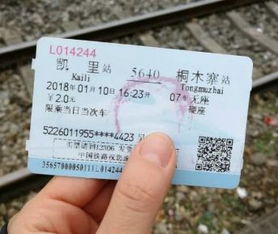 火车票买指南