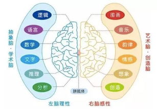 人类大脑就是个漏勺？思维跑偏这事儿可太有意思了