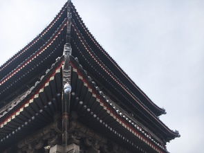 梦回