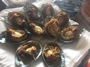 海鲜较大餐——品尝崭新鲜美味
