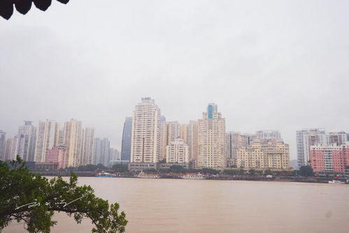 那年，我们都在鼓浪屿遇见今后