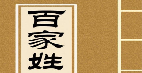 借鉴文学经典取名
