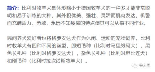 总体评价与提议