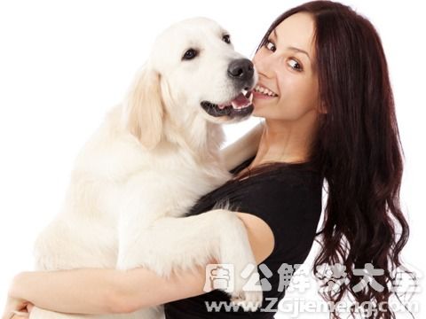 梦见狗说话和我很亲切，梦见陌生狗很亲近，这是不是意味着我内心深处渴望与动物建立亲密关系呢？
