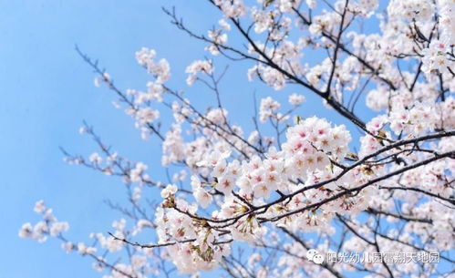 一、 前言：春风拂面沂水倒映的汉阳沌口