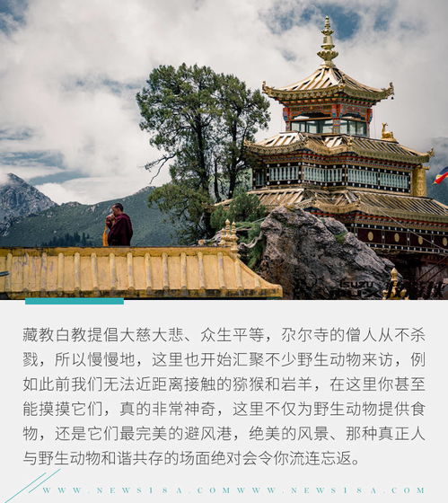 四、彭祖陵园：古老传说与现代自拍狂欢（混乱）