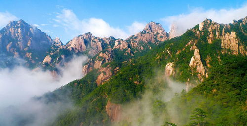 桐柏山？哦对我是来旅游的