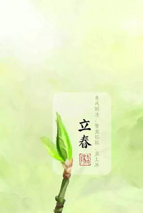 风水中的立春