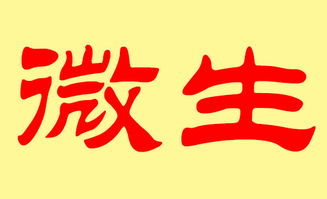 一、姚姓起源与意义的胡闹探讨