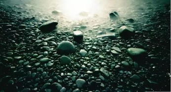 十二生肖的避鬼指南