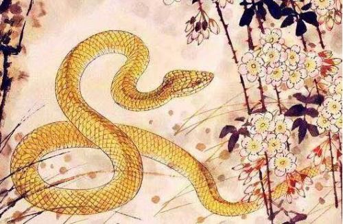 属蛇人端午节运势如何？黄历显示今日财运吉凶如何？