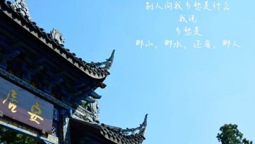 千年古城丽江，文化底蕴深厚，风情特色爆款打卡地