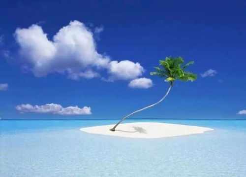 必去景点？必坑景点还差不多！