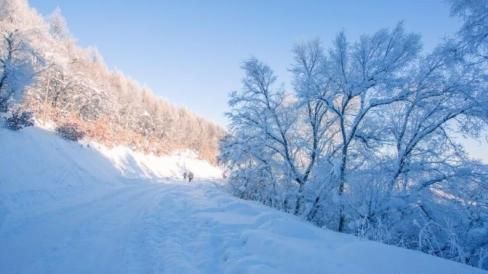 冰天雪地属什么生肖？雪猜一个数字是什么生肖暗示？