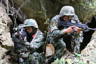 延吉特种兵营实战体验，有哪些极限挑战项目可以参与？