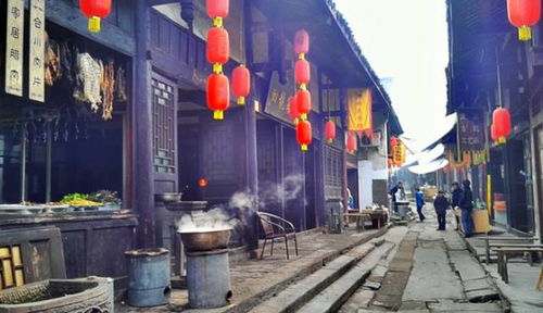 第二站：洪兴路——美食狂潮与意外惊喜混杂体