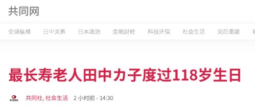 噪音生产区：随机插入一些与主题无关却又莫名其妙的句子