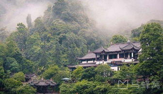 青城幽山——一个来了就后悔的鬼地方