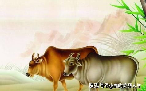 近期四大生肖稍加打扮光彩照人，难道不是洪福天降，注定非凡人？