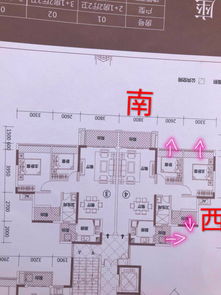 西南朝向的房子风水如何？