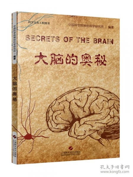 巫秩与脑阙背后的神秘仪式——名字里的咒语