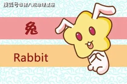 属兔女2026年每月运势及运程具体内容是什么？