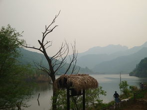 2024年新发现 “雾城澳秘境”：涨潮时海上断桥比垦丁梗野